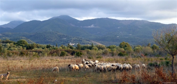 Griekenland - Oude paden verkennen langs de Corfu Trail